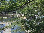 マイBOOさんの市ヶ谷フィッシュセンターの投稿写真1