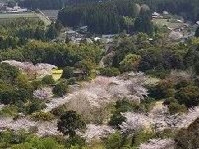 法華嶽公園日本庭園_法華嶽公園日本庭園