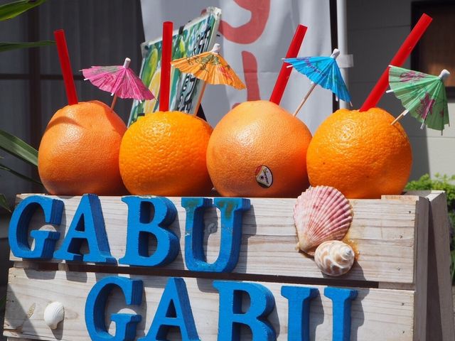 こゆさんのGABUGABUの投稿写真1