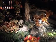 bunamaさんの水の和座 山葵 お茶の水店の投稿写真1