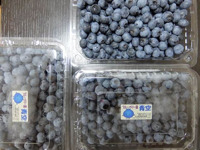 買い物_道の駅 ごか