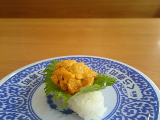 うにの握り。_くら寿司 香椎店