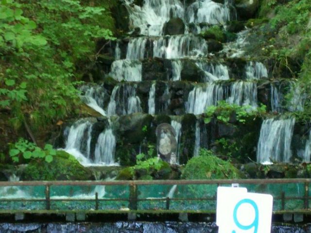 たぬきの置物も_吾妻庵