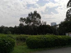 夢の島公園の写真1