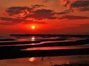 たくーうさんの真玉海岸(マテ貝掘り)の投稿写真1