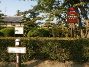 ラグビーおやじさんの筒井順慶五輪塔の投稿写真3