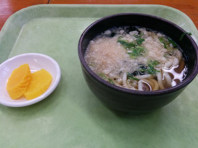 ちびっこうどん_豊吉うどん