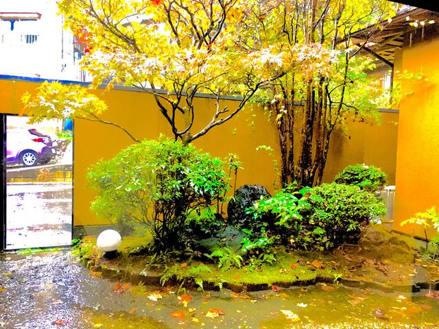 素敵なお庭でした。_やまに郷作