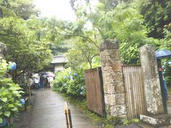 明月院(あじさい寺)の写真1