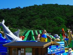 たさんのGrinpa(ぐりんぱ)への投稿写真1