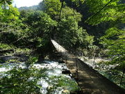 みっしょんさんの中津川渓谷(長野県栄村)の投稿写真1