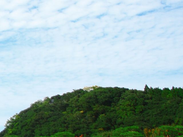 庭園_喫茶室 翆