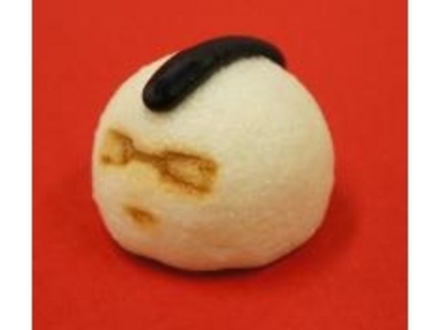 しょうこさんの佐喜知庵の投稿写真1