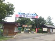 こめさんのあやめ公園の投稿写真1