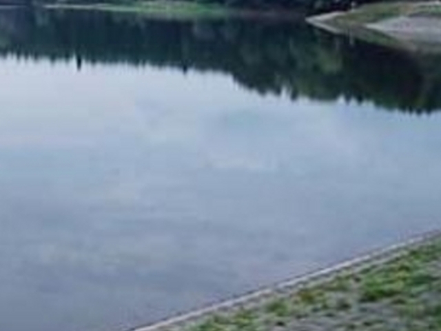 フルスピードさんの湯舟の堤の投稿写真1