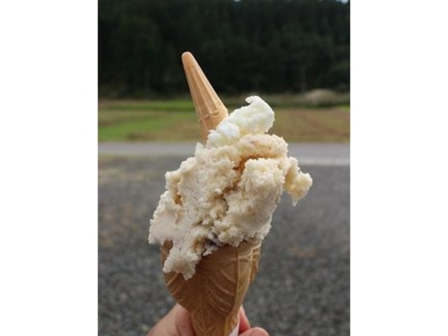 ジェラート_マルガージェラート 能登本店