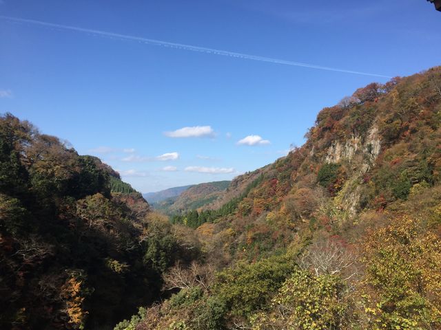駐車場からの景色です_桂茶屋