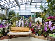 しょうこさんの七尾フラワーパークのと蘭ノ国の投稿写真1