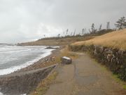 サビ猫さんの二の浜海岸遊歩道の投稿写真1