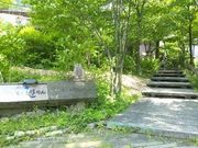 しょうこさんの手づくり木工館もく遊りんの投稿写真1