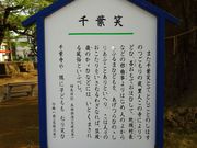 ponちゃんさんの千葉寺の大イチョウの投稿写真2