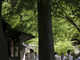 OLDROADさんの富部神社への投稿写真2