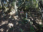 JOEさんの吾妻岳の投稿写真1