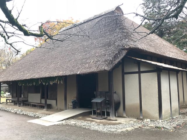 【江戸東京たてもの園〜綱島家】大根や柿が軒先に干してあるのが秋ですね〜_綱島家(江戸東京たてもの園)