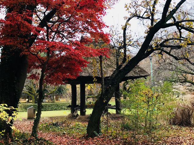 【江戸東京たてもの園〜奄美の高倉】_奄美の高倉(江戸東京たてもの園)