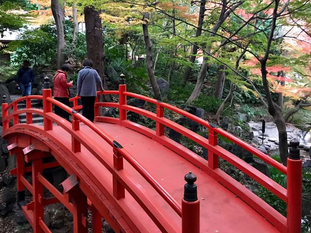 【通天橋〜小石川後楽園】_通天橋(小石川後楽園)