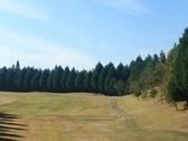 アクセルゼンカイさんのロイヤル高松カントリークラブの投稿写真1