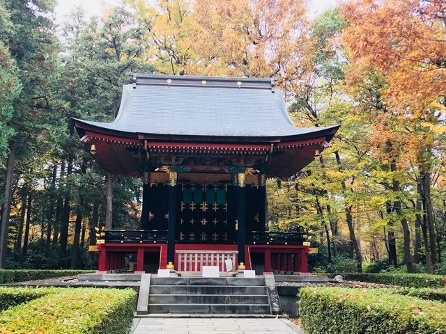 【旧自証院霊屋(江戸東京たてもの園)】_旧自証院霊屋(江戸東京たてもの園)