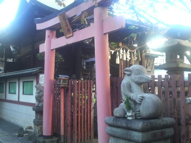 柳森神社の鳥居の横にたぬきがいます_柳森神社