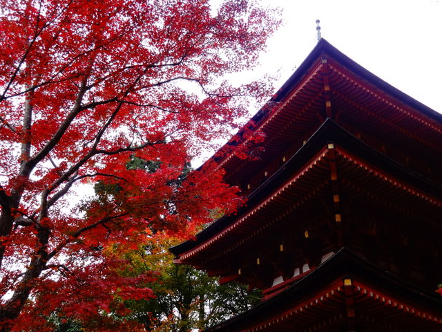 浄瑠璃寺_浄瑠璃寺