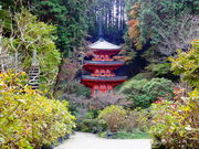 しどーさんの岩船寺の投稿写真4