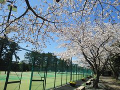 小室山公園の写真2