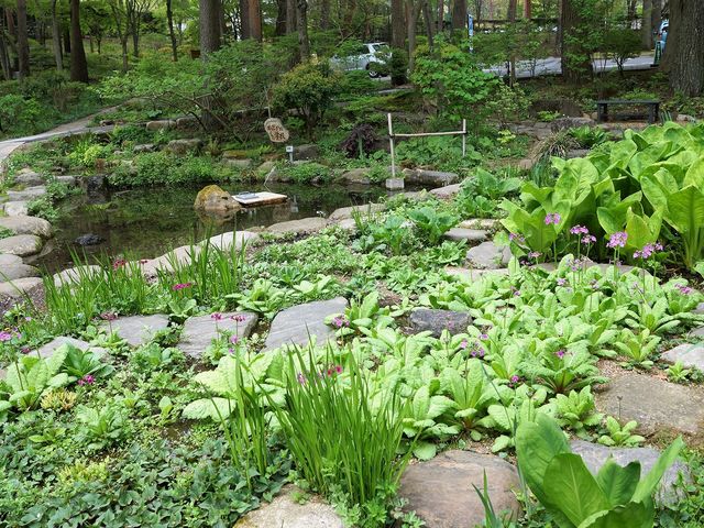 山野草園F_かんてんぱぱガーデンさつき亭・ひまわり亭・茶房 桂小場