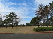 キヨさんの吹上浜海岸砂丘の投稿写真2