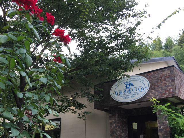 お店_糸島手造りハム