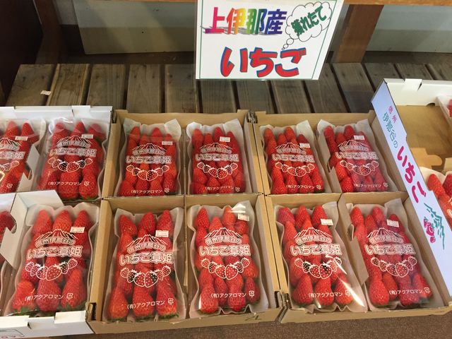 まっかな いちご!美味しそう!_みはらしファーム(とれたて市場)
