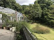 higuさんの五月山緑地都市緑化植物園 池田市緑のセンターの投稿写真1