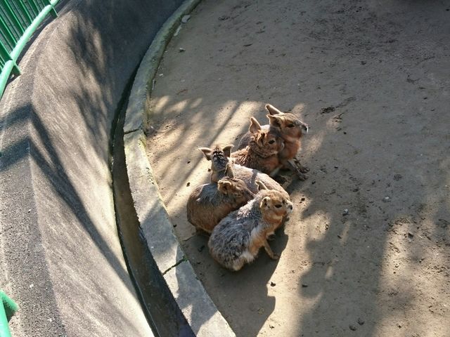 和歌山城公園動物園