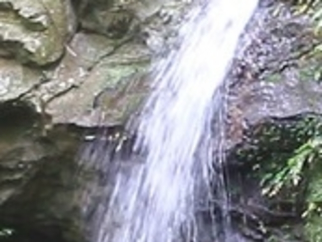 不動の滝_不動の滝(裏見の滝)