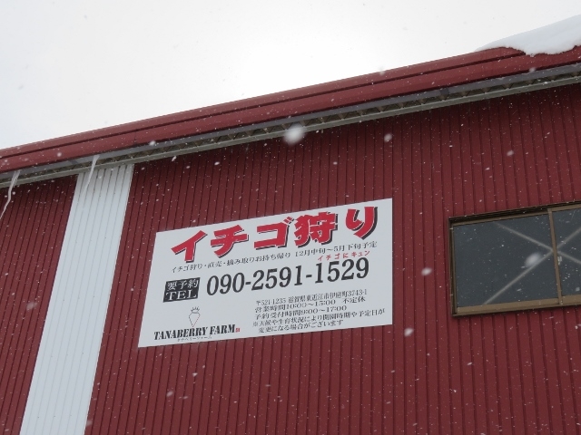 外観_タナベリーファーム(TANABERRY FARM)