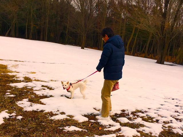 雑木林の素敵な散歩道!_みずほの中央公園