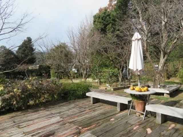 中冨記念くすり博物館 薬草園_中冨記念くすり博物館