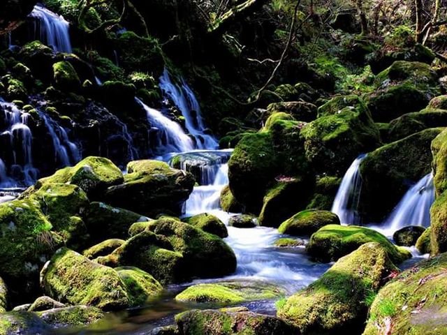元滝伏流水_元滝伏流水