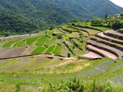 あっきーさんの湯船の水と千枚田の投稿写真1