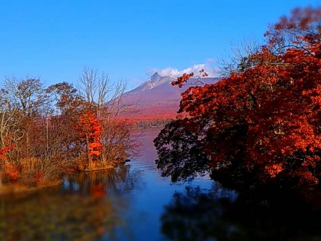 紅葉_大沼公園散策路