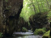 bloeさんの樽前ガローの投稿写真1